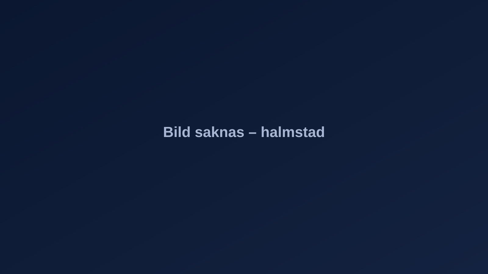 Halmstad – stadsvy