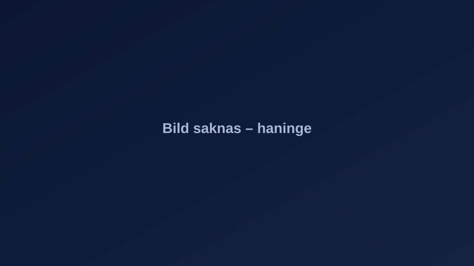 Haninge – stadsvy