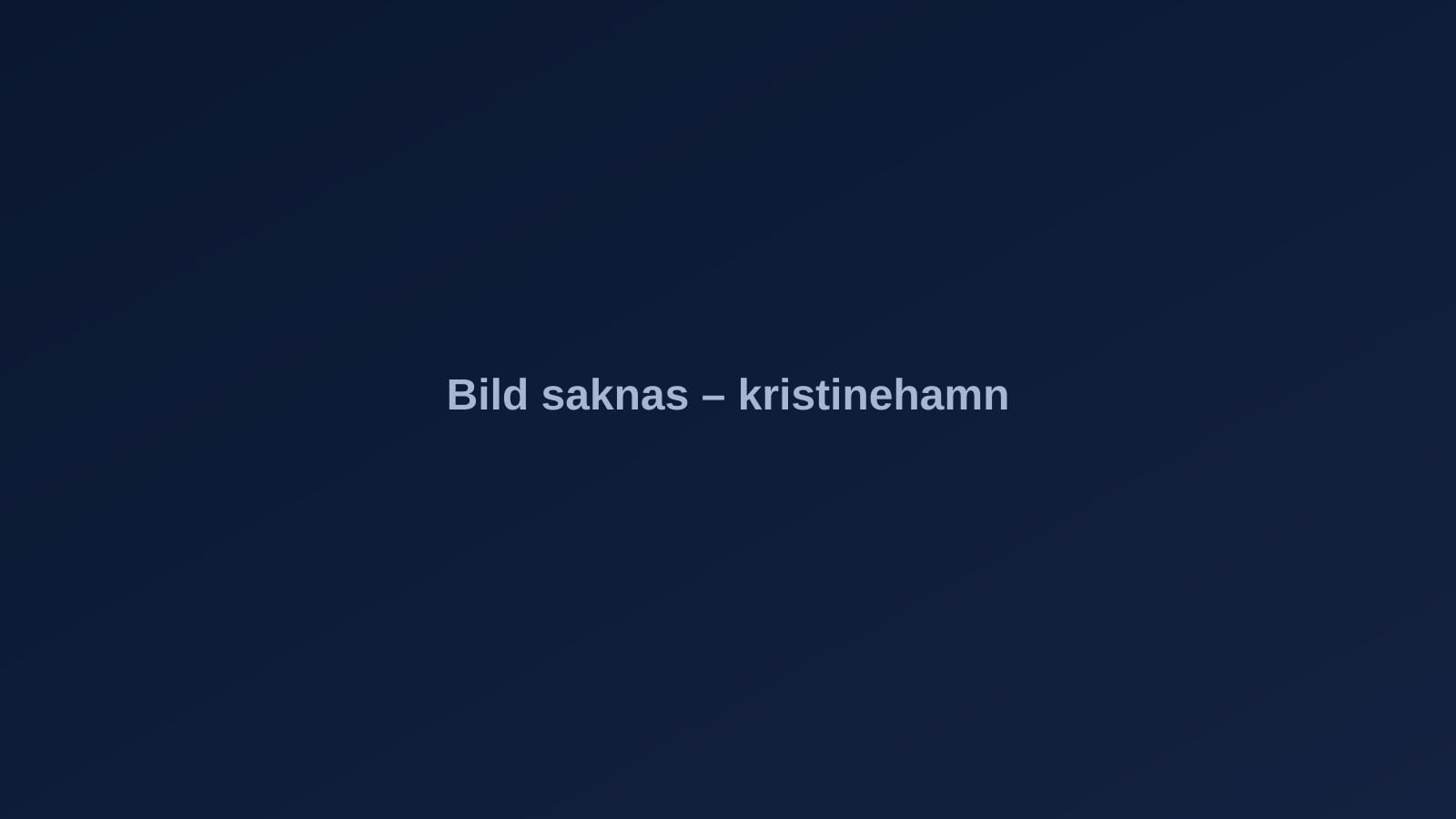 Kristinehamn – stadsvy