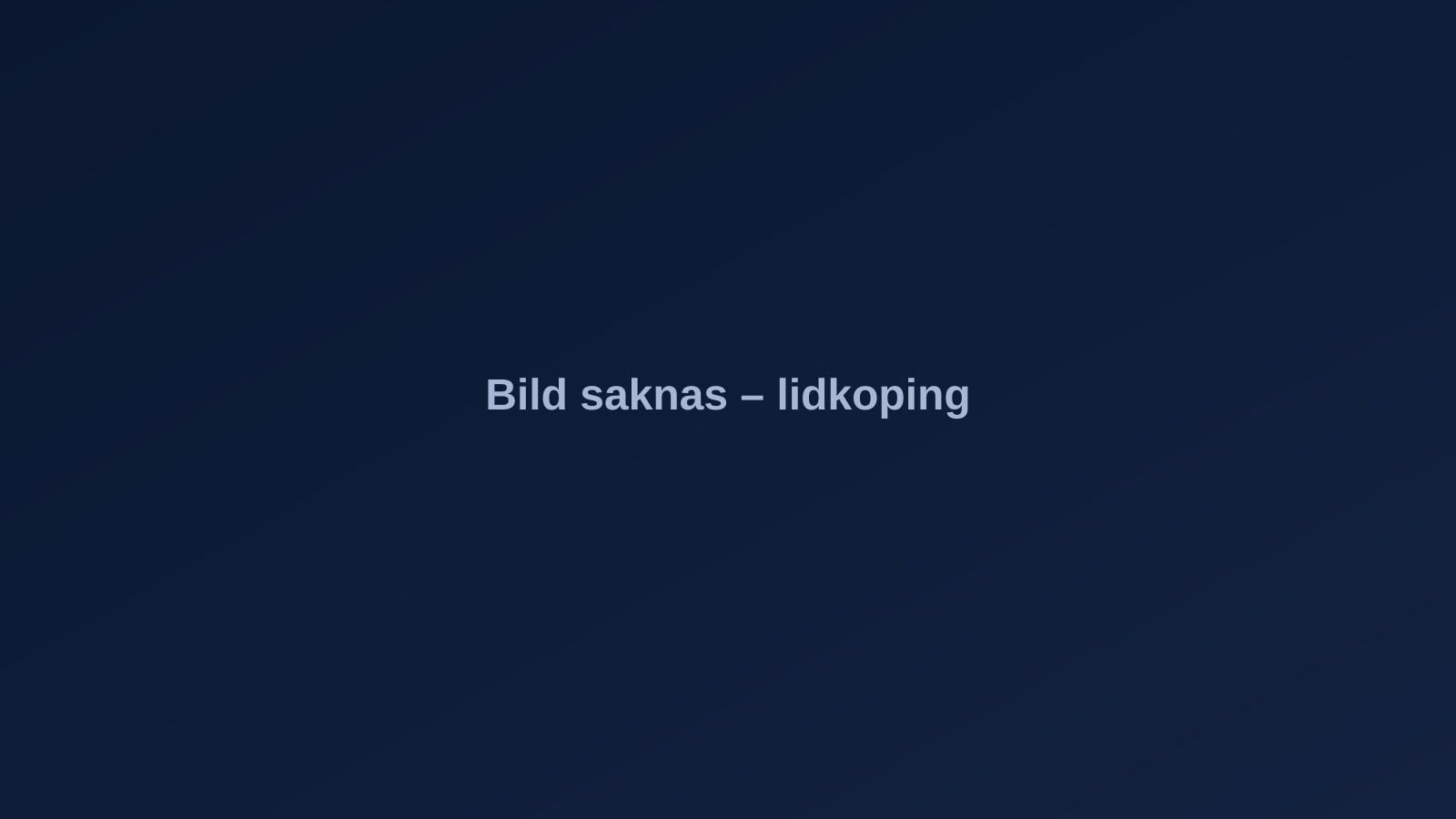 Lidköping – stadsvy