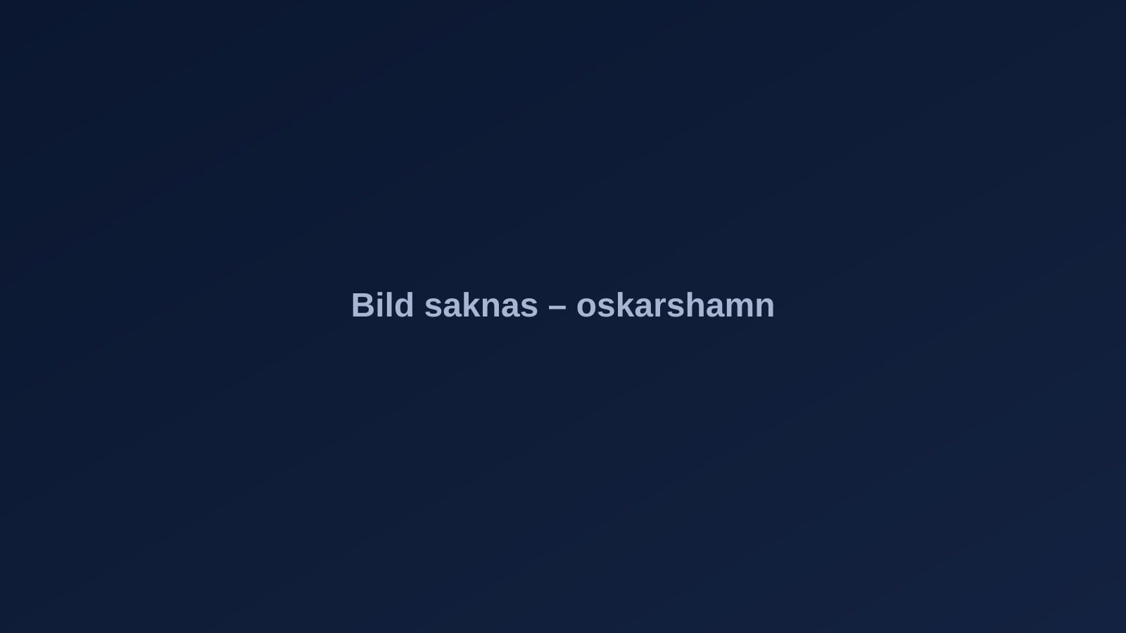 Oskarshamn – stadsvy