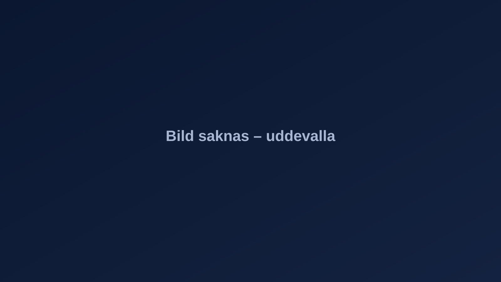 Uddevalla – stadsvy